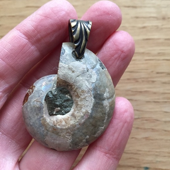 Ammonite Fossil Pendant with Brass Bail NWOT - Picture 9 of 14